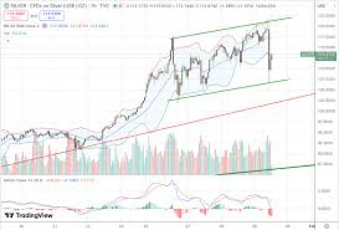 Silver Market Outlook 2026 – From Panic to Profit: February Price ...