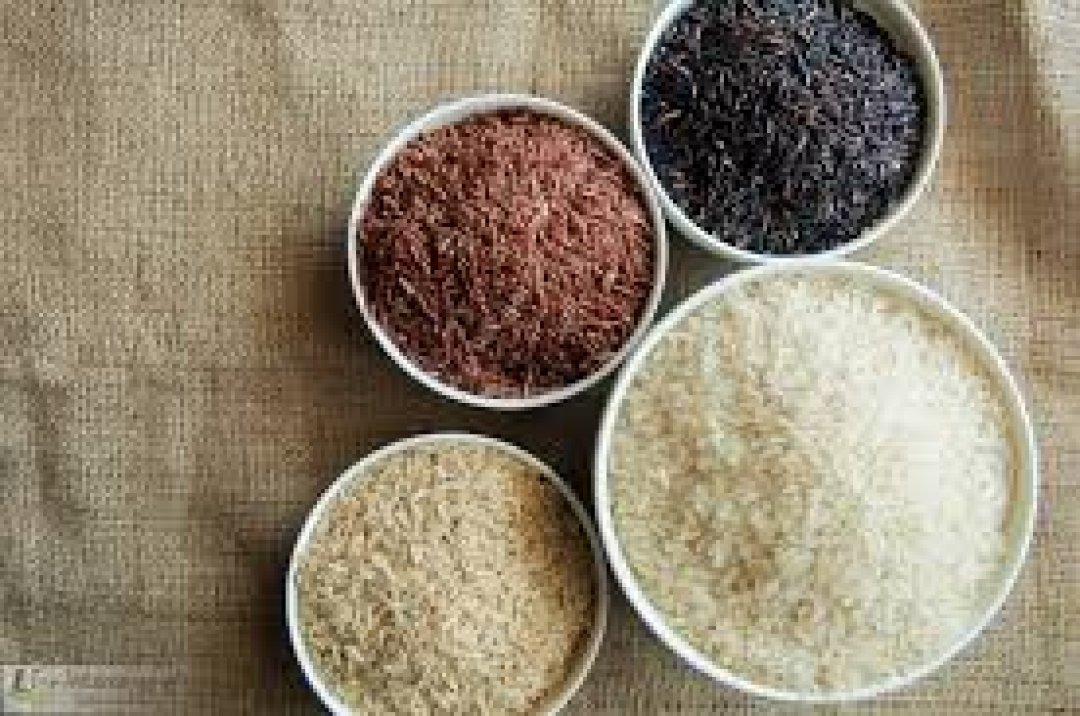 THAI RICE KNOWLEDGE BY SO OK TRADING