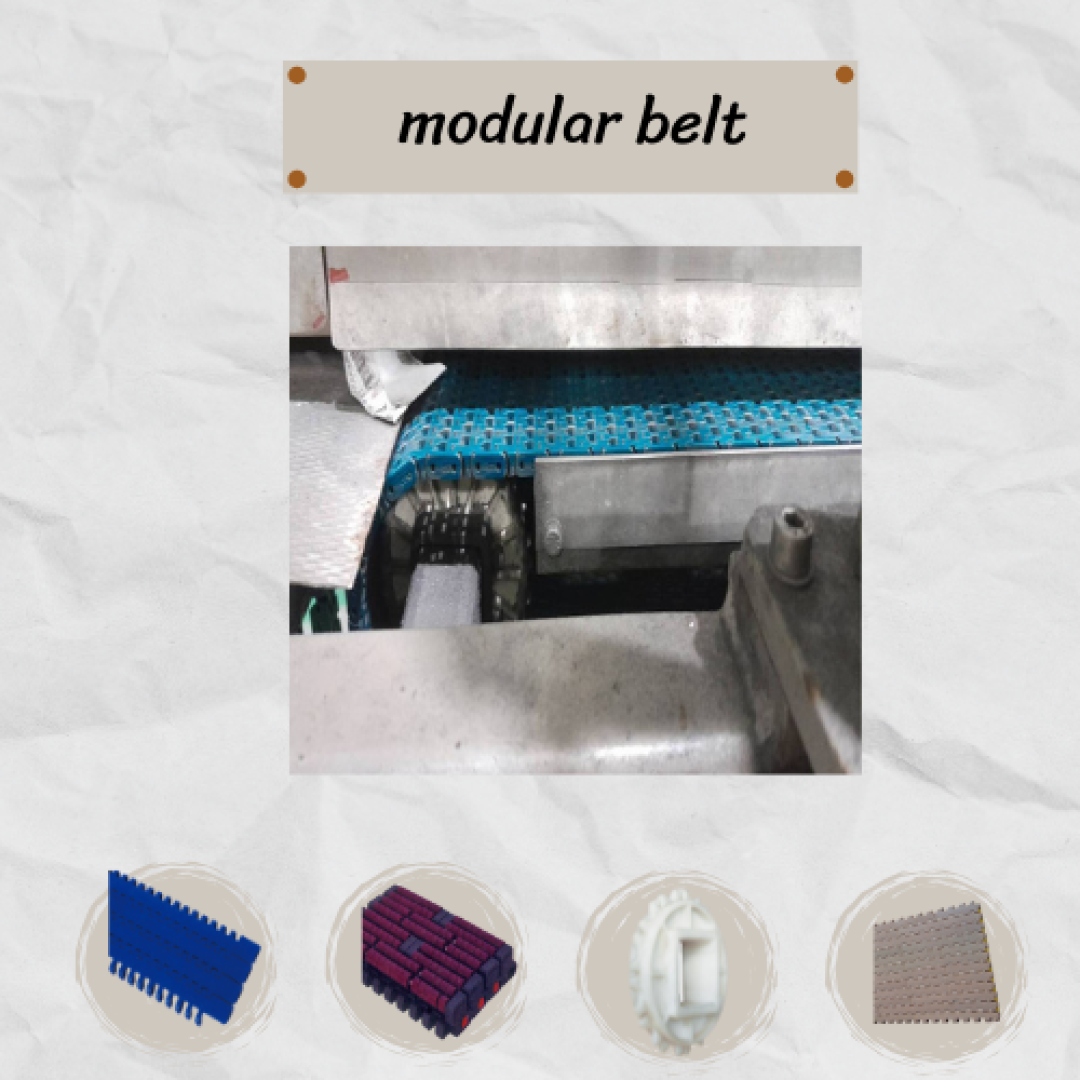 Modular Belt Direction สายพานลำเลียงแบบโมดูลาร์ Modular Belt คืออะไร | KN