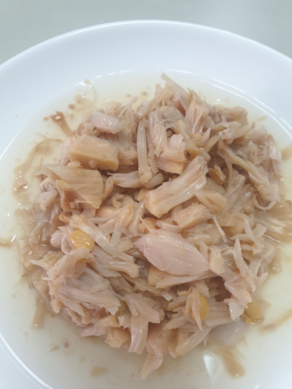 Canned green jackfruit shredded Bonanzaglobal