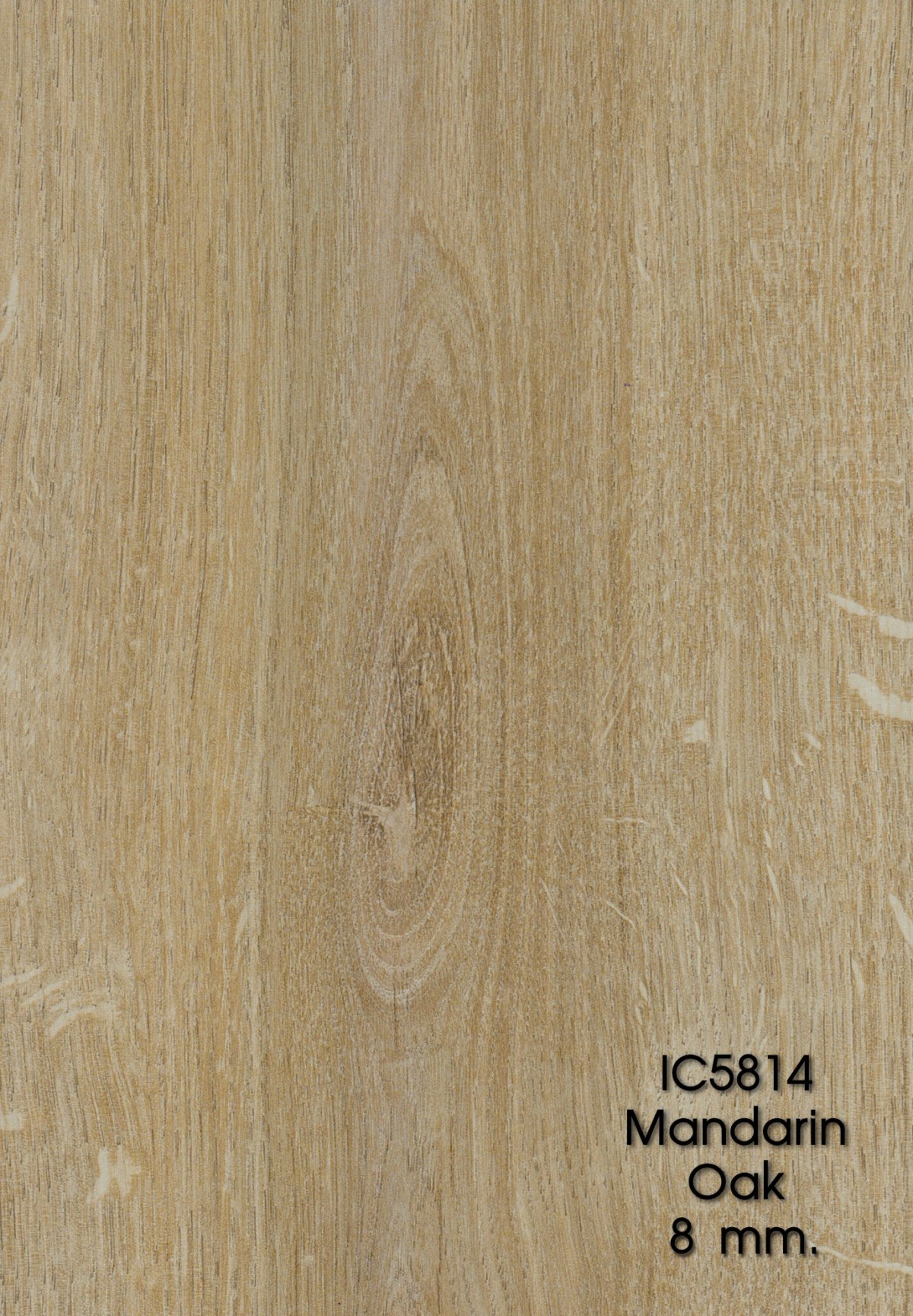 IC5814 LAMINATE ICON 8 mm. laminatethai