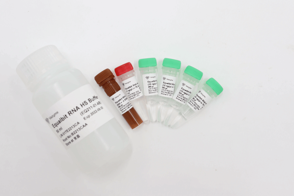 Equalbit RNA HS Assay Kit EQ211 smartscience