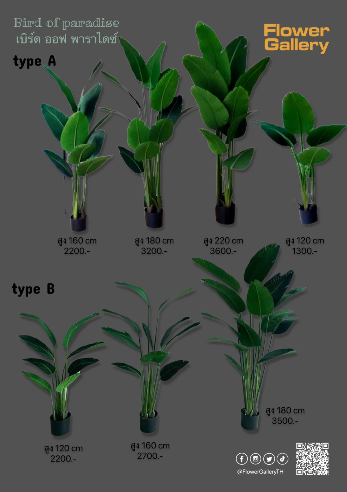 Bird of Paradise flowergallery