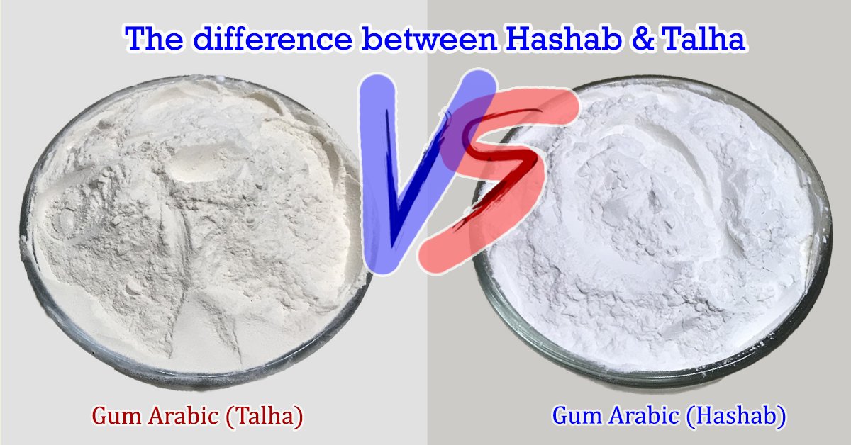 Talha R&b ความแตกต่างระหว่างกัมอารบิก Talha และ Hashab - jumbo-th