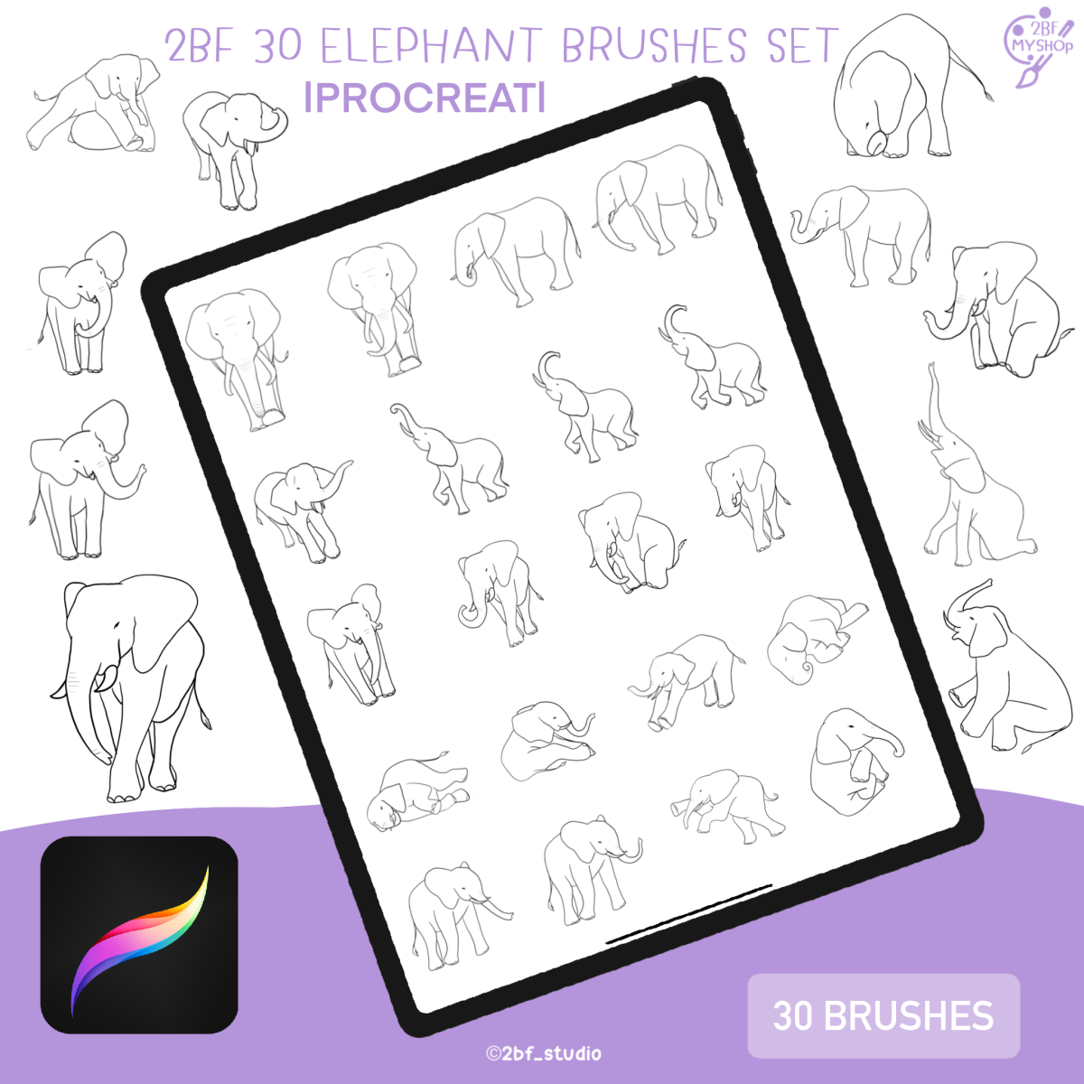 2BF 30 ELEPHANT BRUSHES SET PROCREAT BRUSHED twobefriend