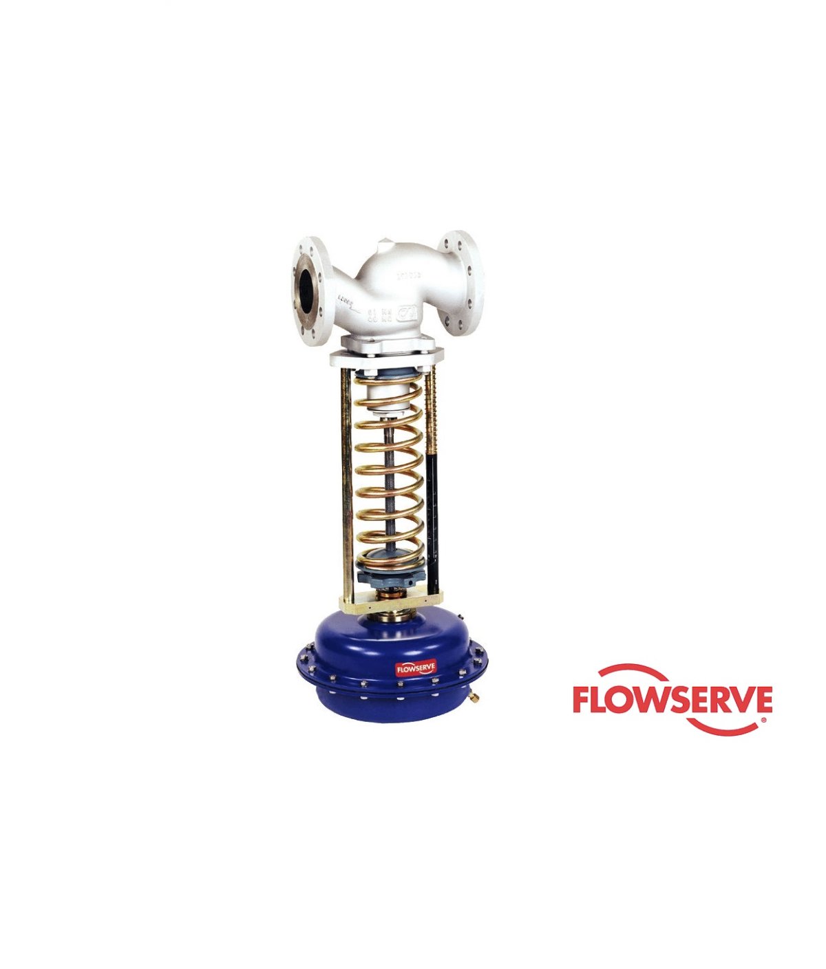 FLOWSERVE Valve and Spare parts flowautomech