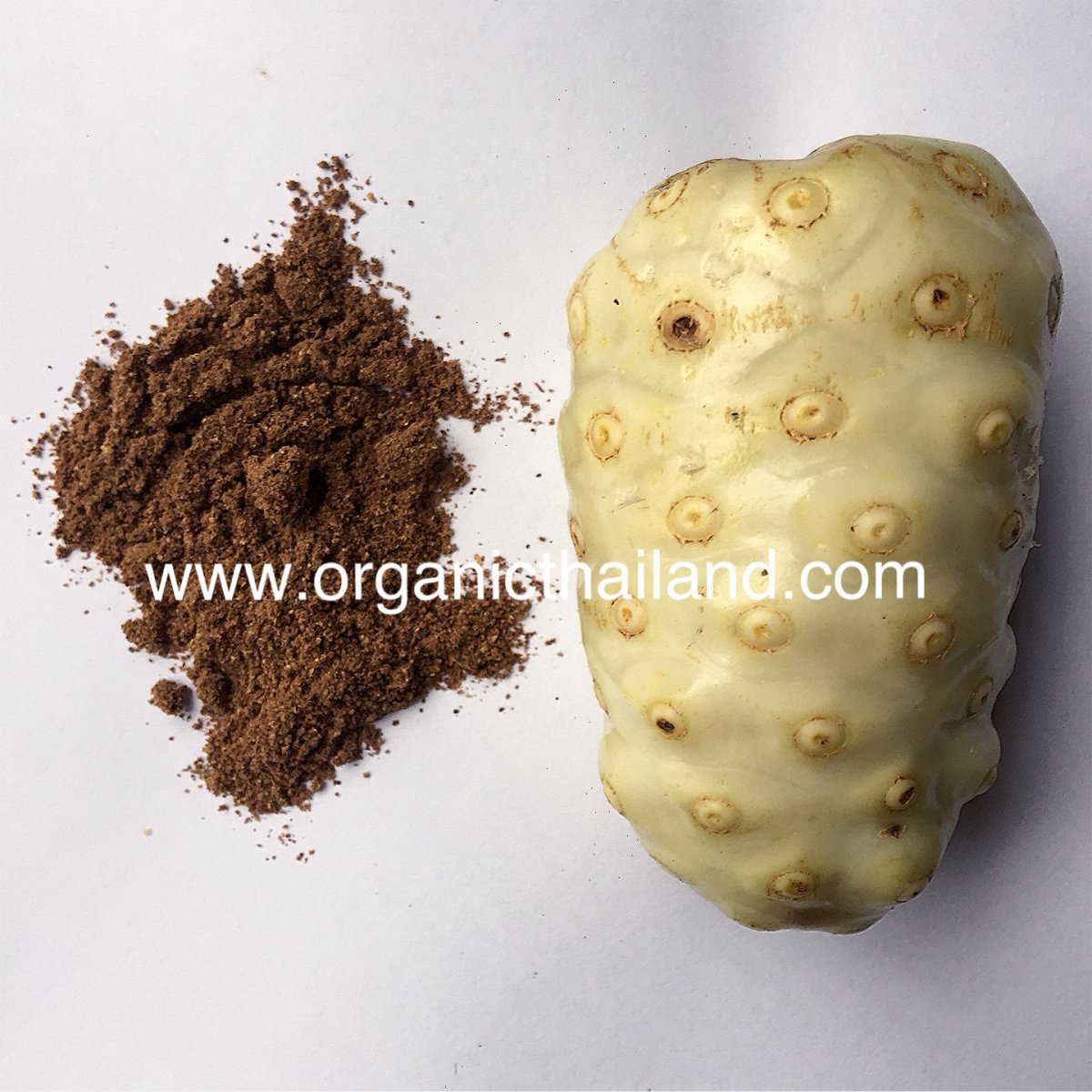 Noni Fruit Powder 1kg organicthailand