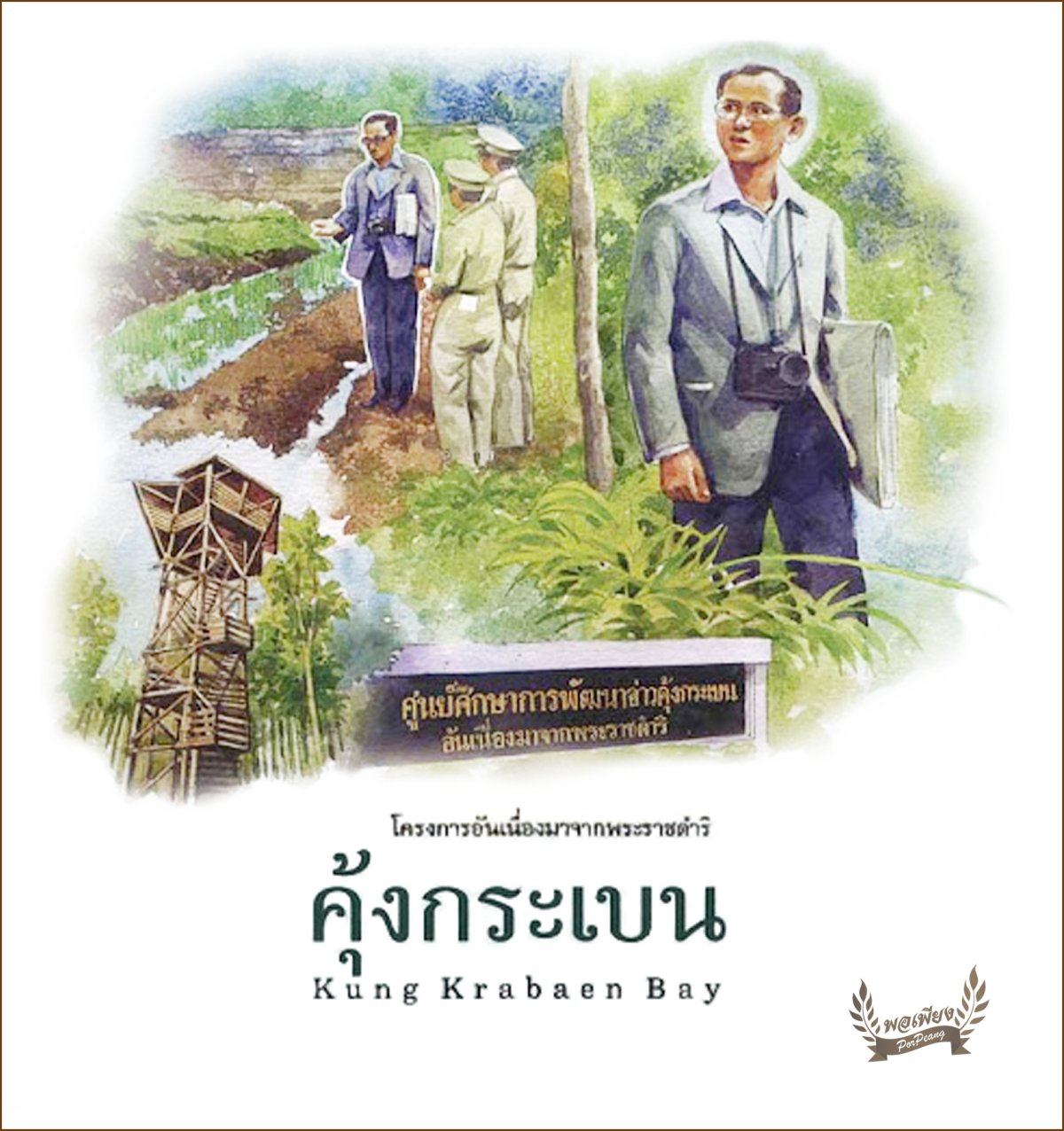 My Image 33