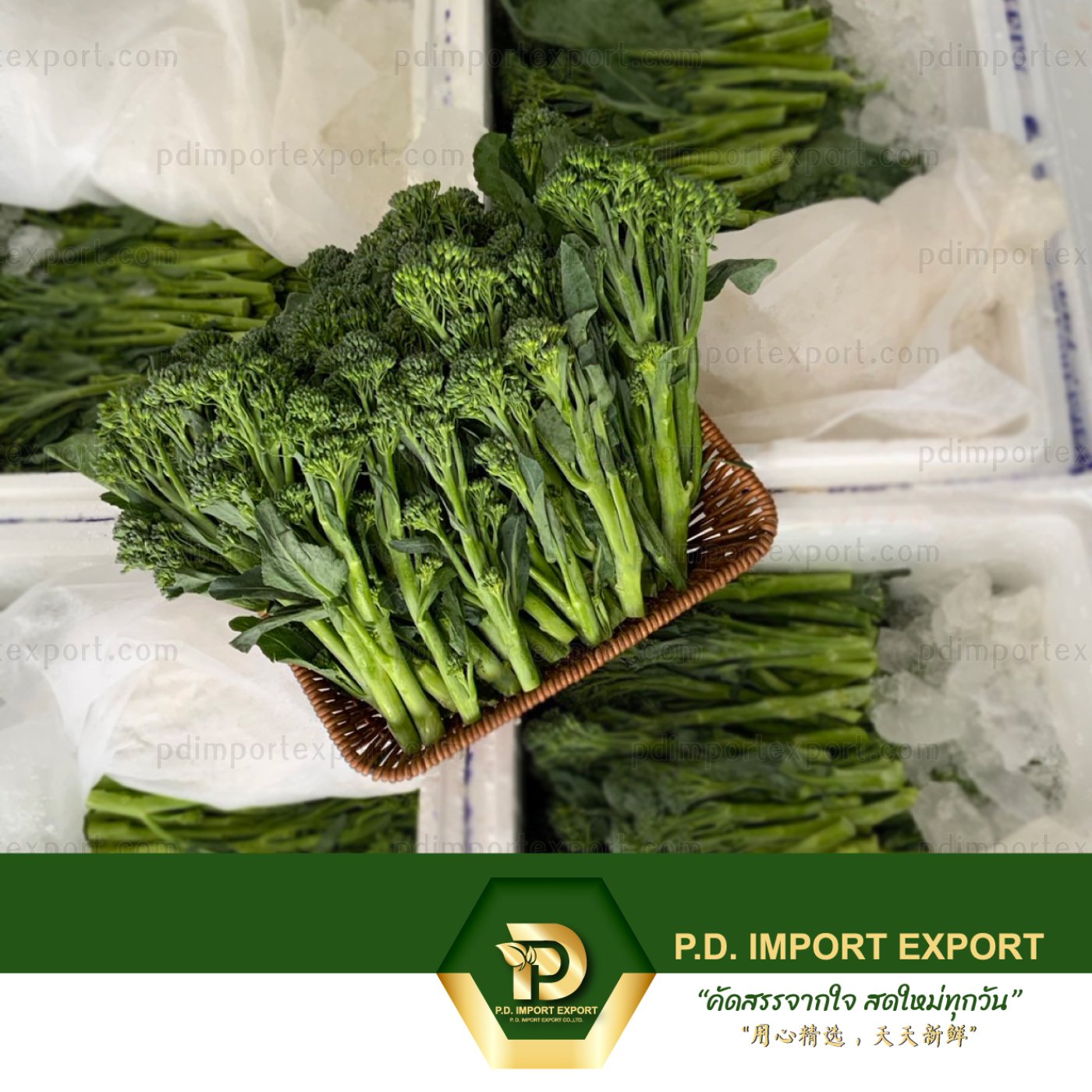 เบบี้บล็อค / เบบี้บล็อคโคลี (Broccolini / Baby Broccoli)
