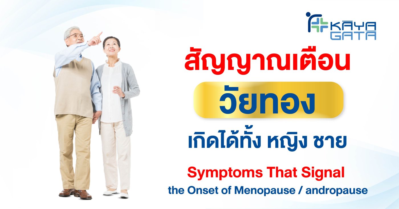 บทความ