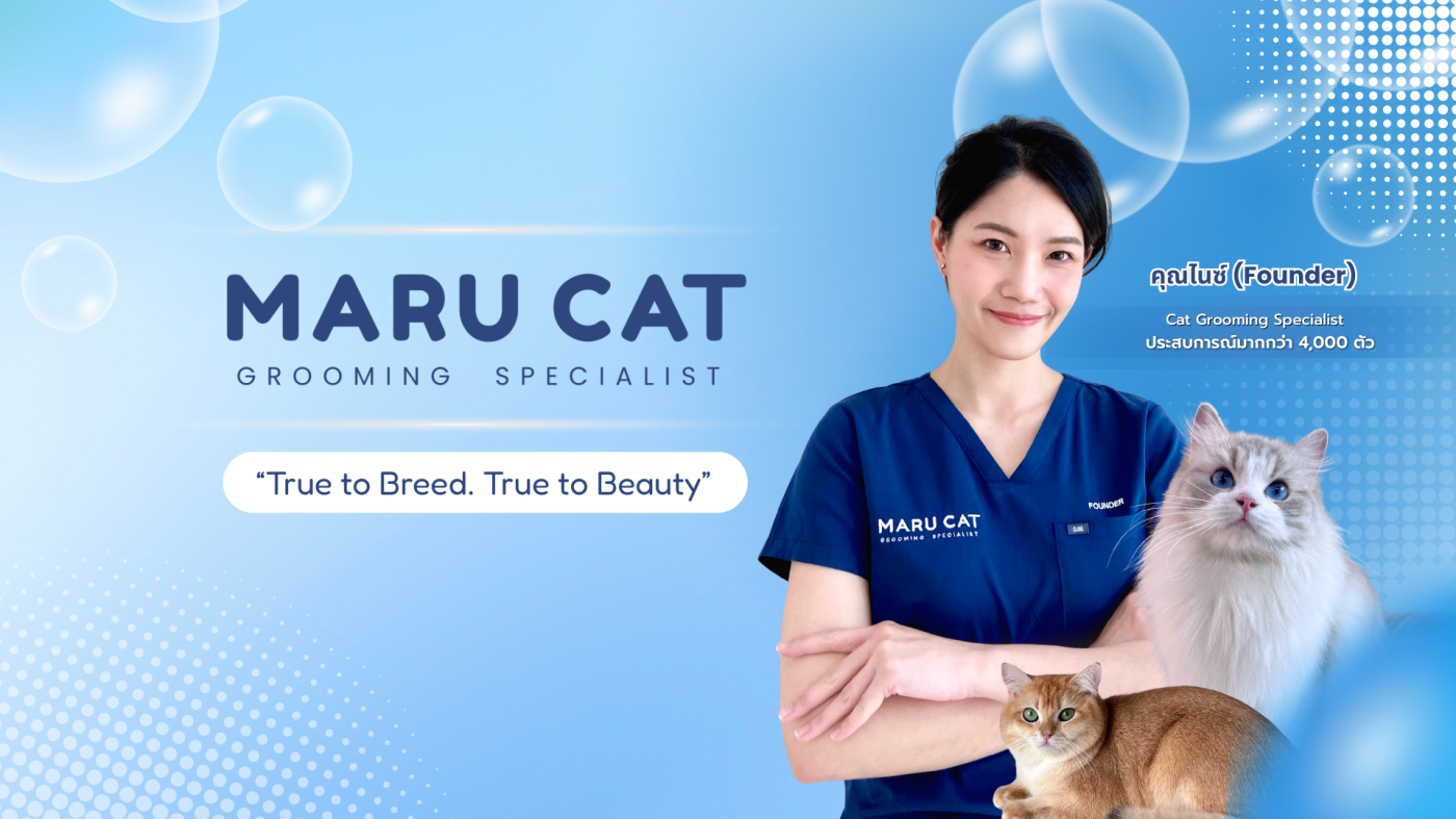 Maru Breed Insight: เจาะลึกเทคนิคดูแล 