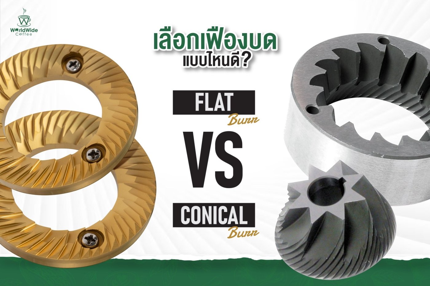 Conical vs Flat Burr เลือกเฟืองบดแบบไหนถึงตอบโจทย์