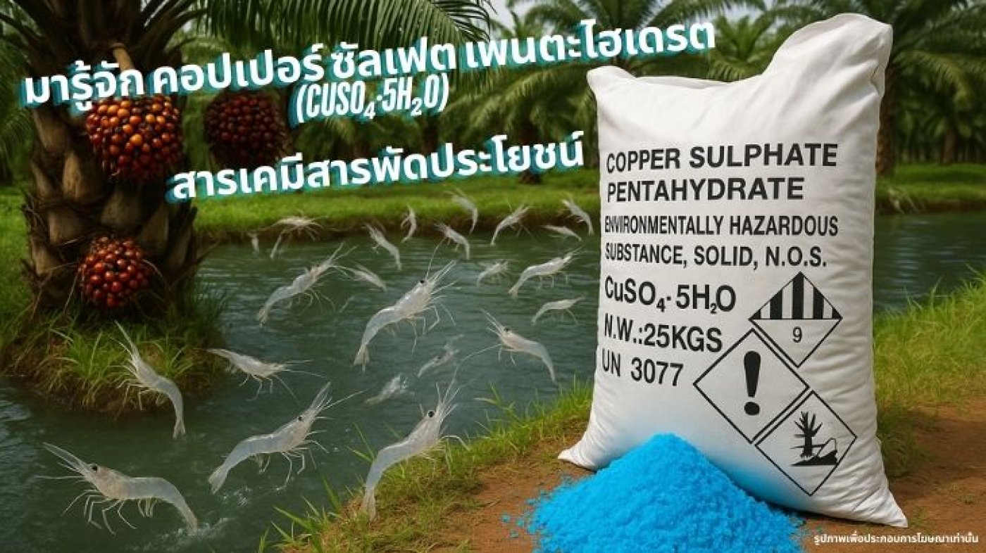 Introduction to Copper Sulphate Pentahydrate (CuSO₄·5H₂O) – A Versatile ...