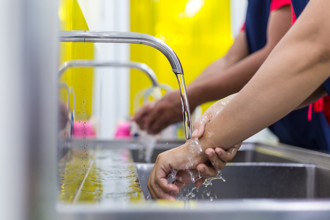 Namdhari's Thai Fresh Fruits & Vegetables Import & Export