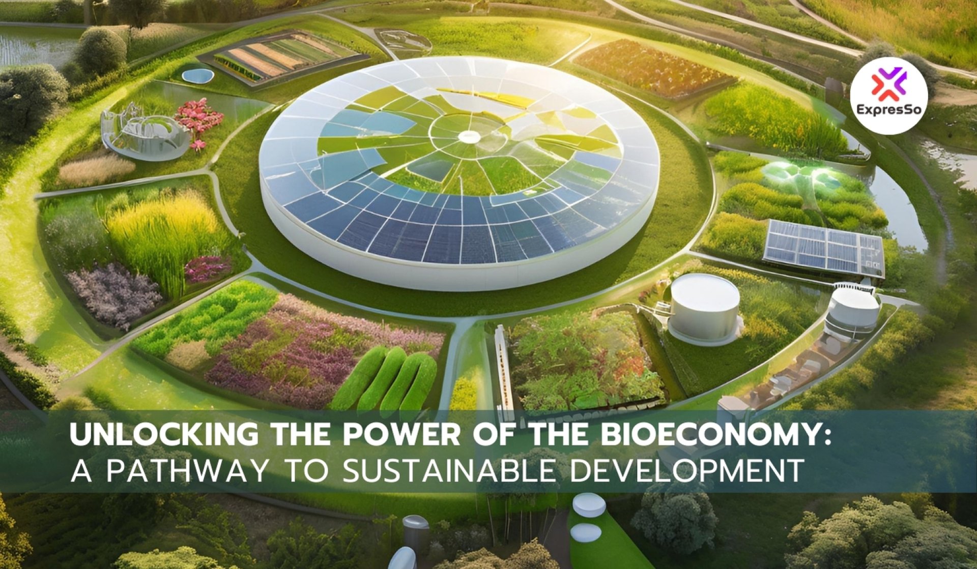 Unlocking Bioeconomy: A Path to Sustainable Growth