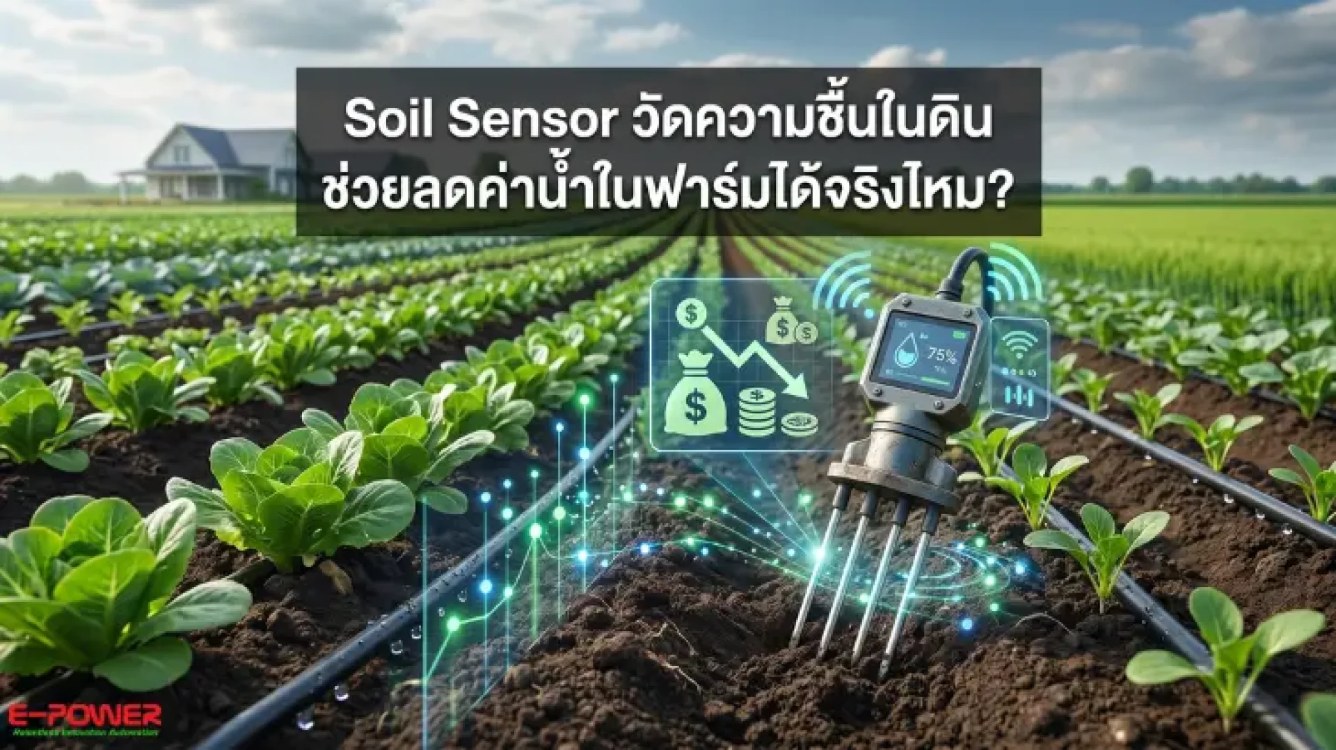 Soil Sensor (เซนเซอร์วัดความชื้นในดิน) Soil Sensor (เซนเซอร์วัดความชื้นในดิน)