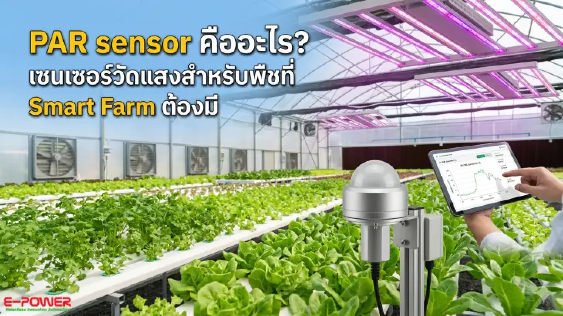 PAR sensor (เซนเซอร์วัดแสงพืช) PAR sensor (เซนเซอร์วัดแสงพืช)