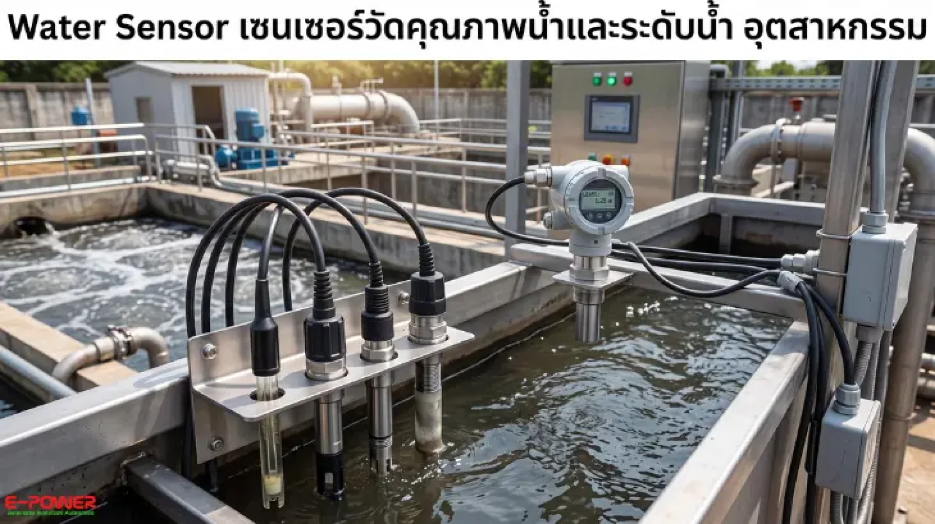 Water Sensor (เซนเซอร์วัดคุณภาพน้ำและระดับน้ำ) Water Sensor (เซนเซอร์วัดคุณภาพน้ำและระดับน้ำ)