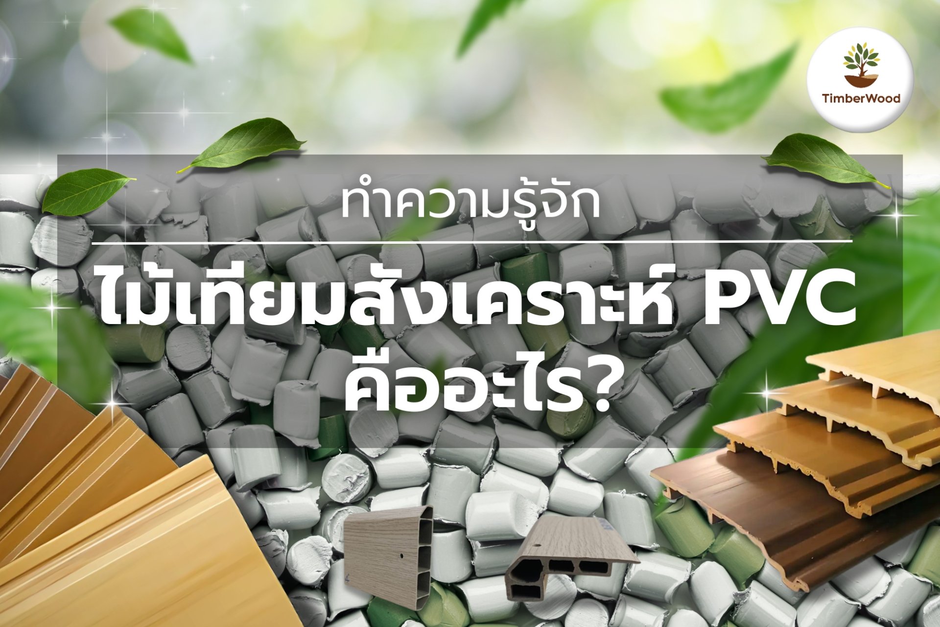 บทความทั้งหมด
