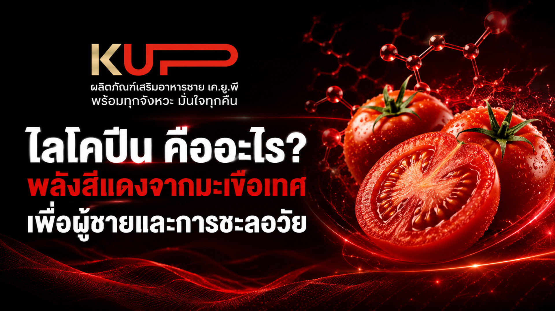 ไลโคปีน คือ อะไร พลังสีแดงเพื่อผู้ชายและการชะลอวัย โดยแบรนด์ KUP ไลโคปีน คือ อะไร พลังสีแดงเพื่อผู้ชายและการชะลอวัย โดยแบรนด์ KUP