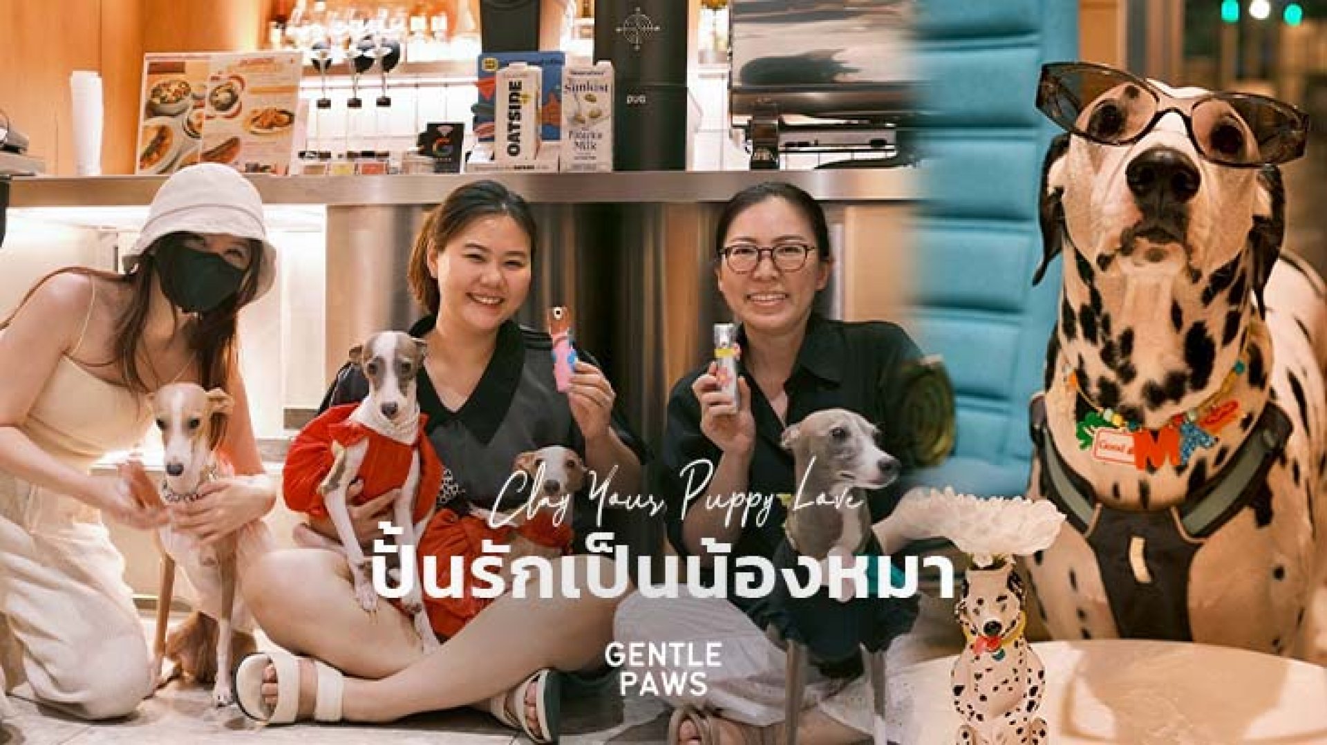 Gentle Pawrent Club Gentle Pawrent Club