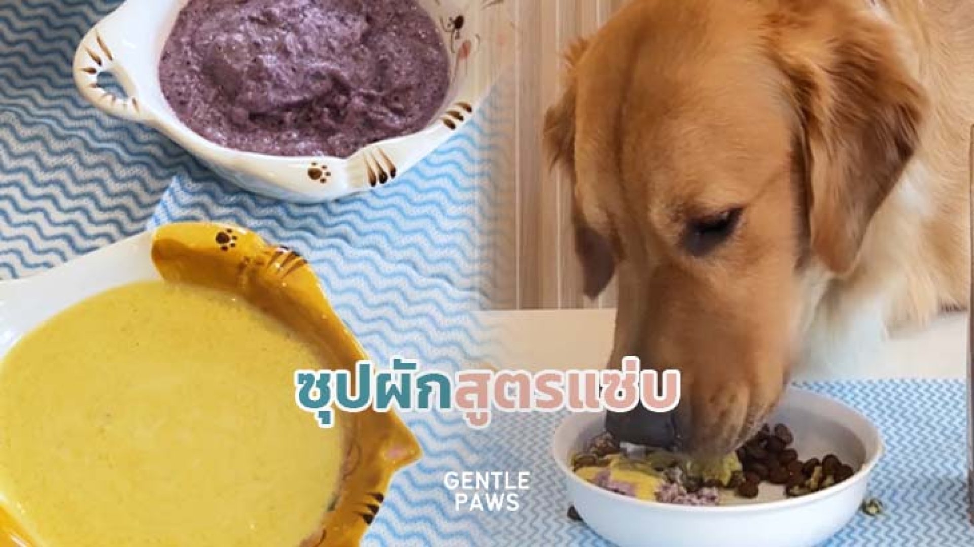 ขนมสุนัขโฮมเมด ขนมสุนัขโฮมเมด