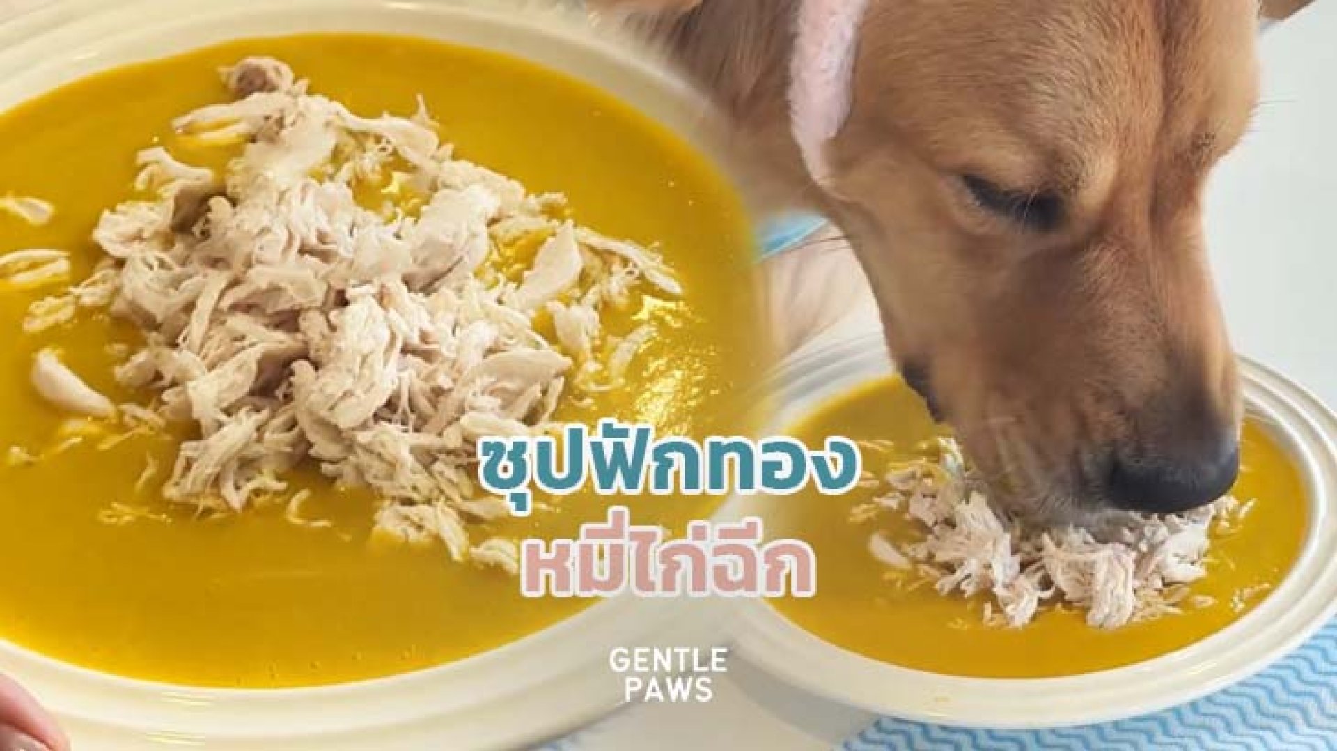 อาหารสุนัขโฮมเมด อาหารสุนัขโฮมเมด