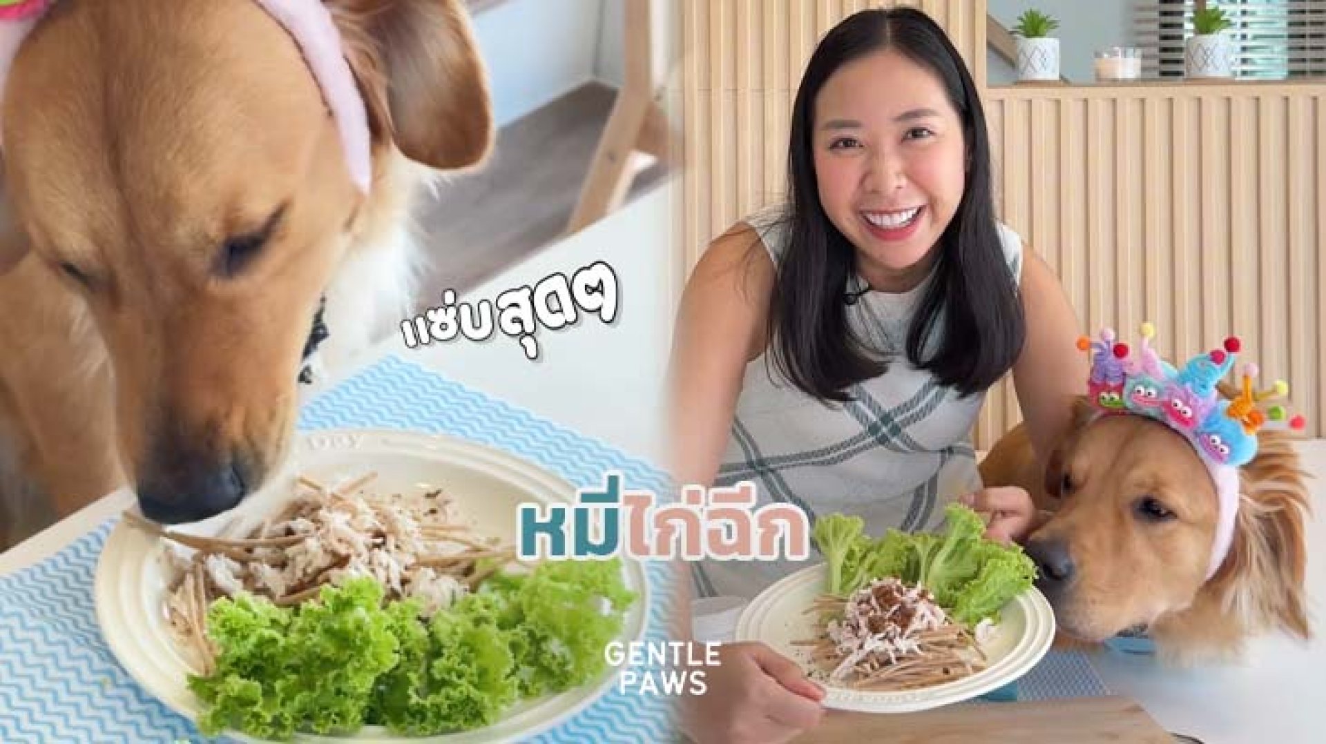 หมี่ไก่ฉีก หมี่ไก่ฉีก