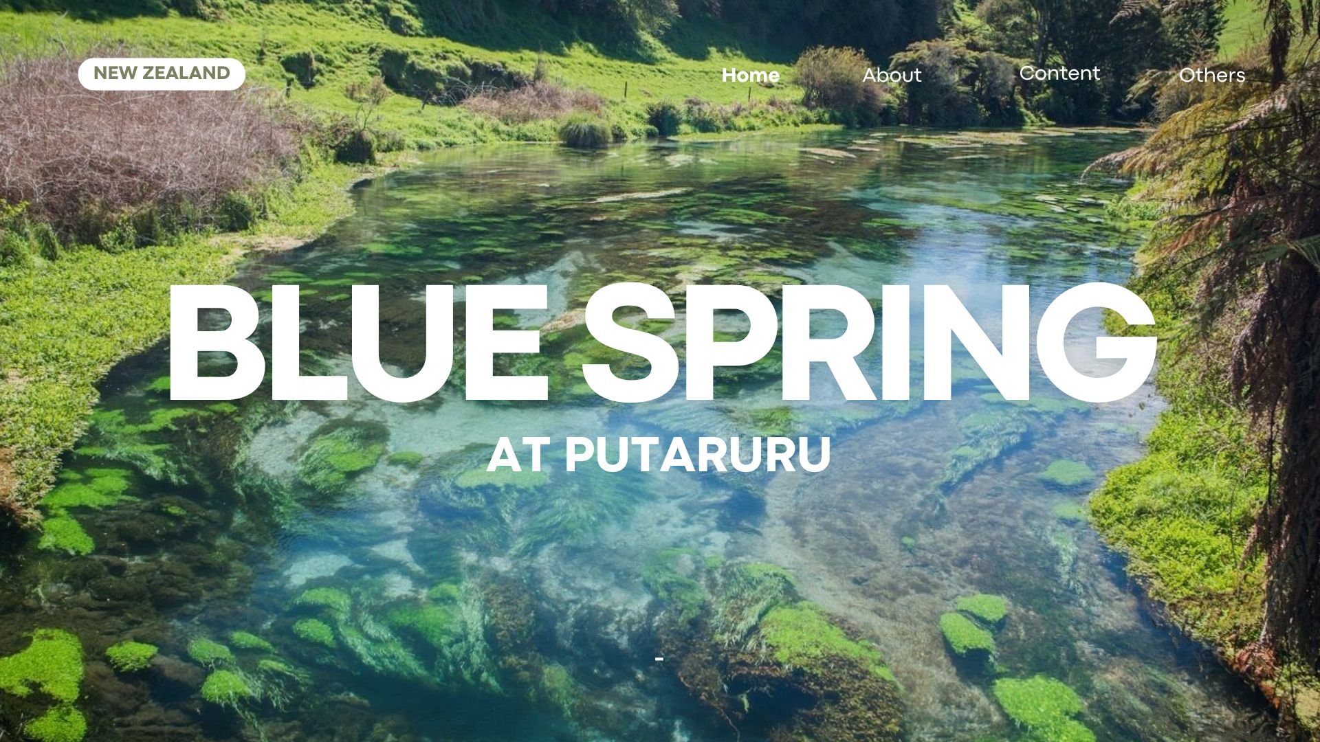 Blue Spring at Putaruru น้ำที่ใสที่สุดจนเหมือนไม่มีอยู่จริง