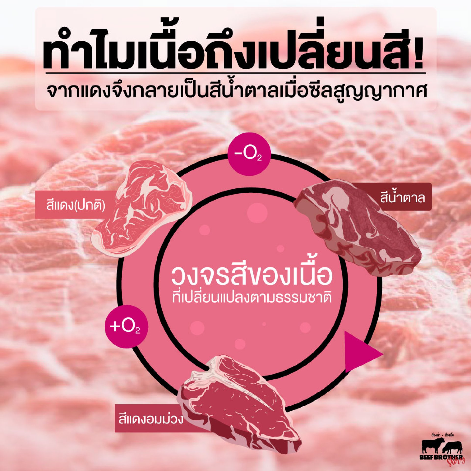 ทำไมเนื้อถึงเปลี่ยนสี ทำไมเนื้อถึงเปลี่ยนสี