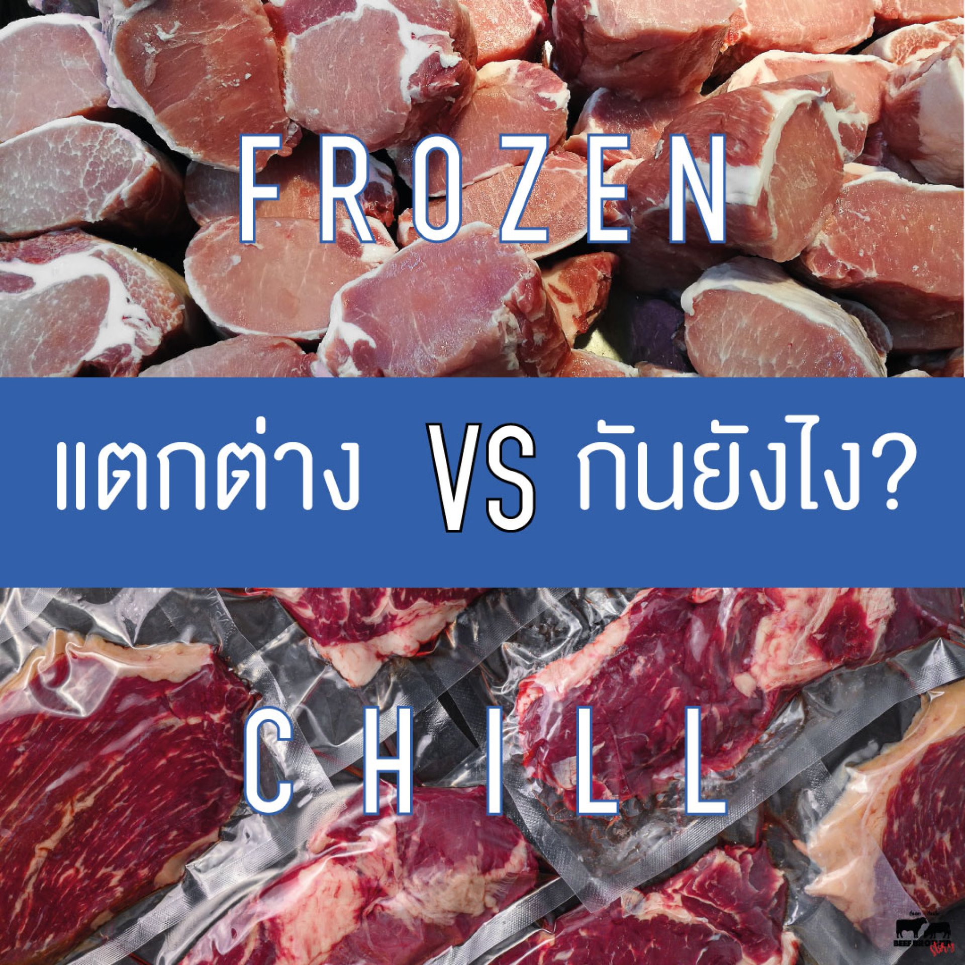 เนื้อแช่เย็นต่างกับเนื้อแช่แข็งอย่างไร เนื้อแช่เย็นต่างกับเนื้อแช่แข็งอย่างไร