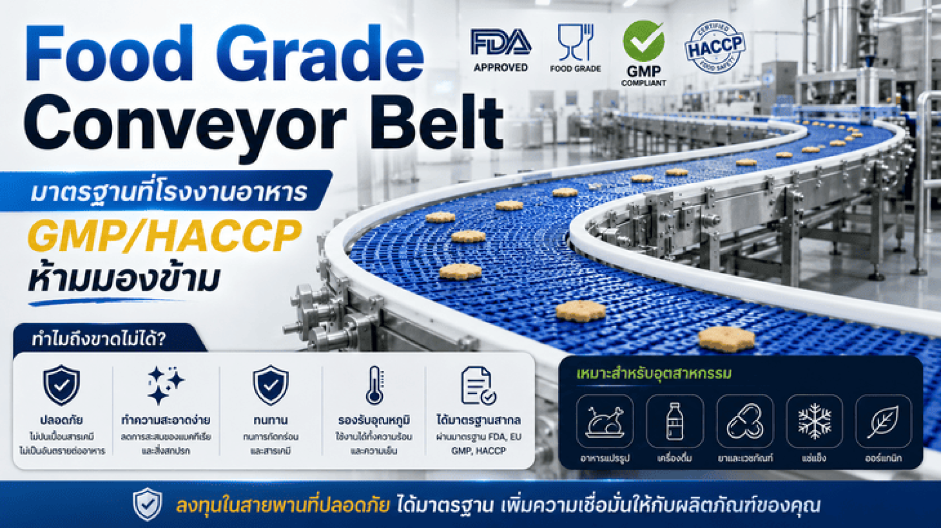 สายพานลำเลียง Food Grade คืออะไร? ทำไมโรงงานอาหารและยาถึงขาดไม่ได้ สายพานลำเลียง Food Grade คืออะไร? ทำไมโรงงานอาหารและยาถึงขาดไม่ได้