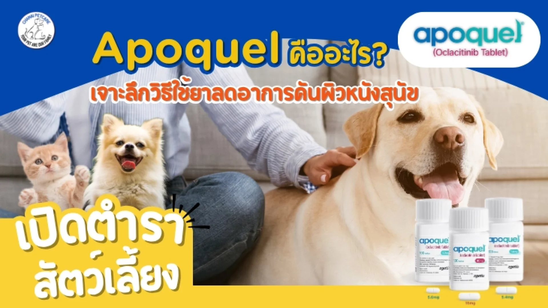 Apoquel Apoquel
