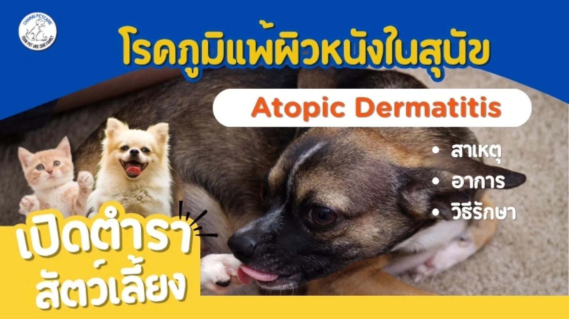 โรคภูมิแพ้ผิวหนังในสุนัข โรคภูมิแพ้ผิวหนังในสุนัข