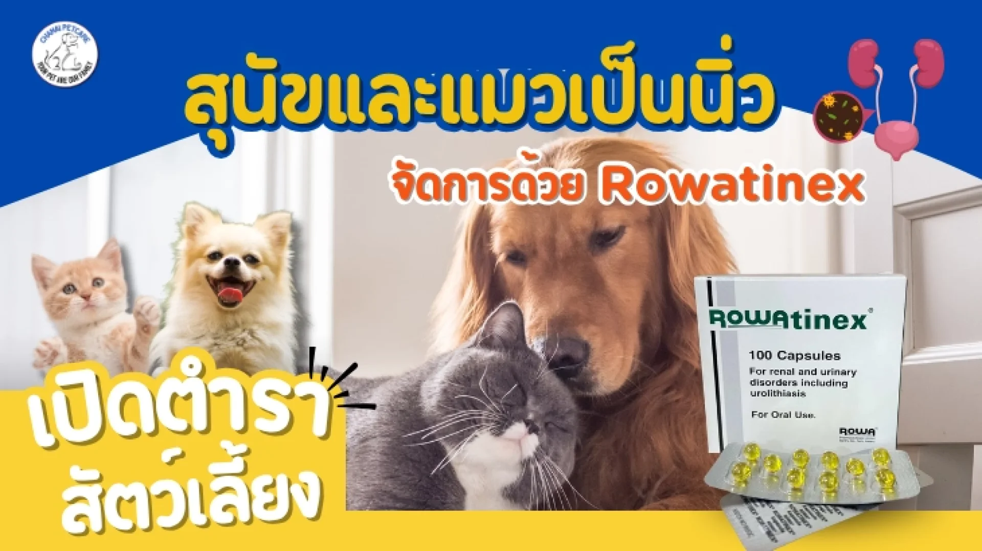 Rowatinex Rowatinex