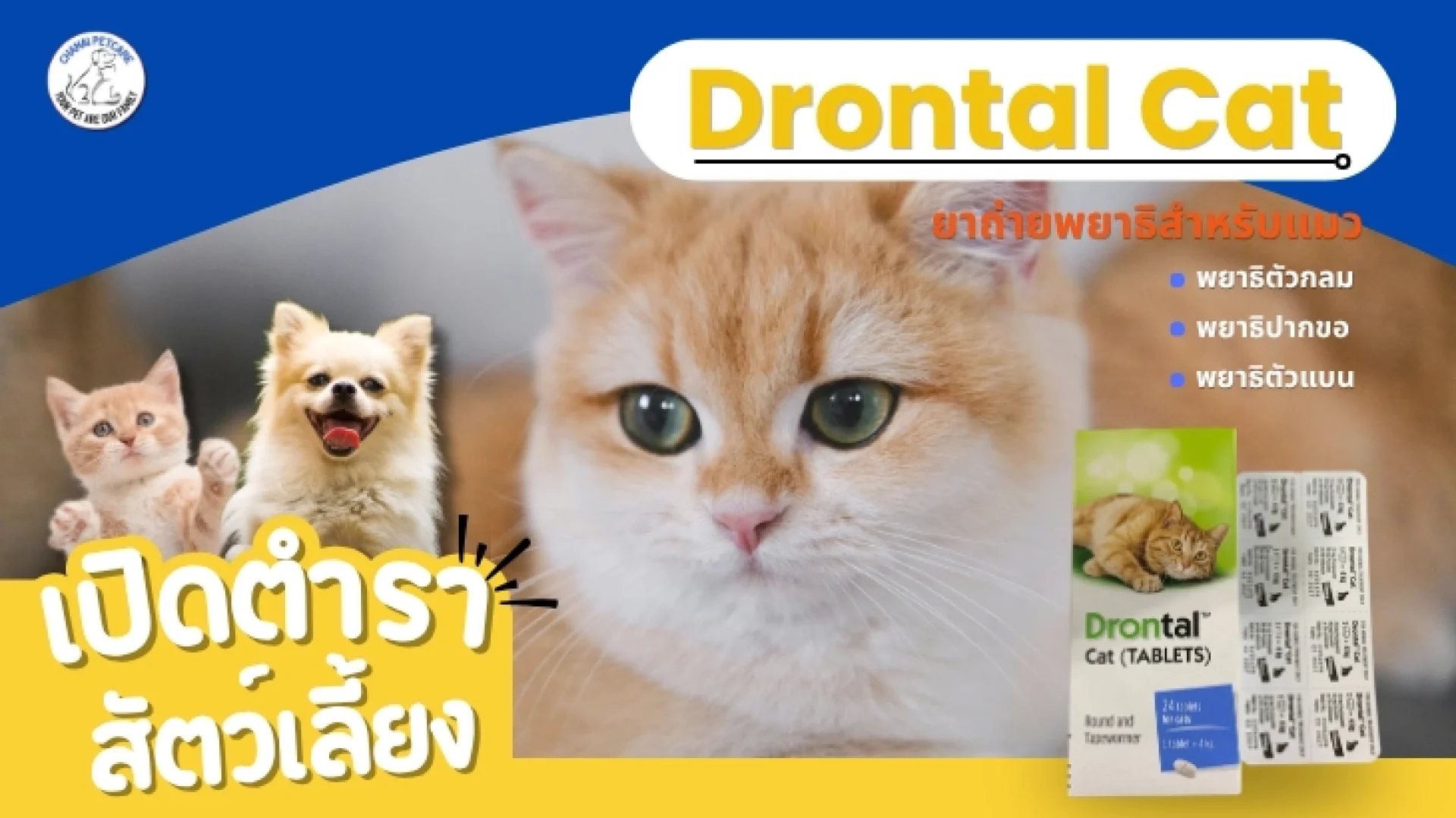 Drontal Cat ยาถ่ายพยาธิแมวชนิดเม็ด Drontal Cat ยาถ่ายพยาธิแมวชนิดเม็ด
