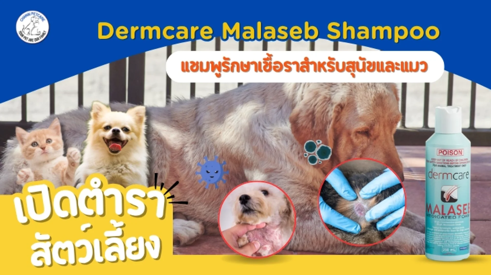 แชมพูมาลาเซบ แชมพูมาลาเซบ