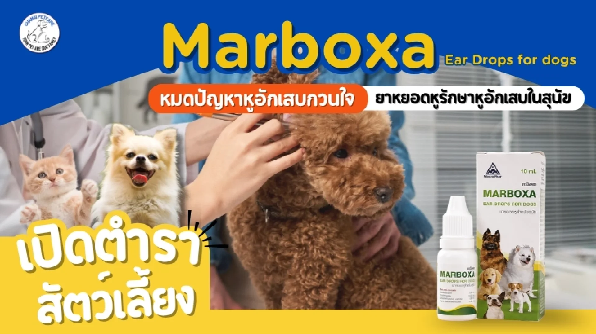 Marboxa Marboxa