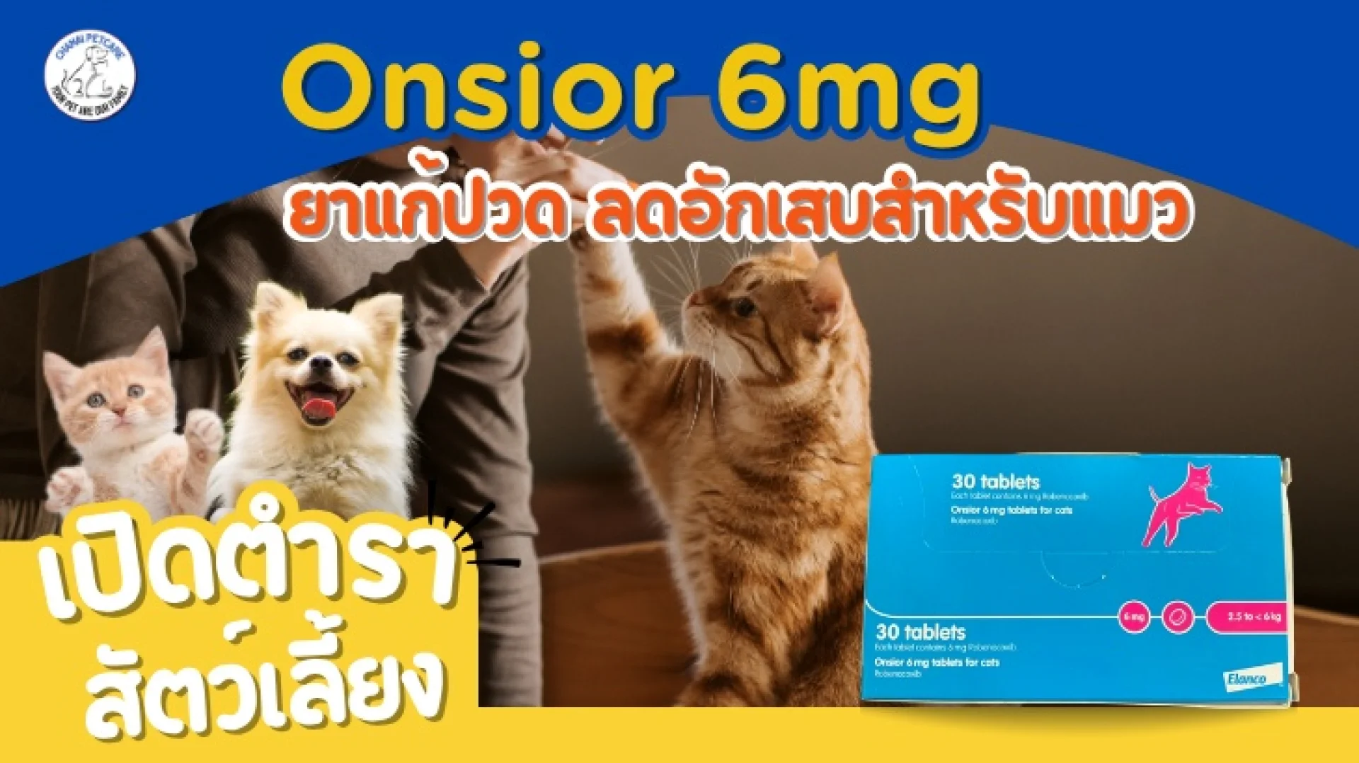 Onsior 6mg Onsior 6mg