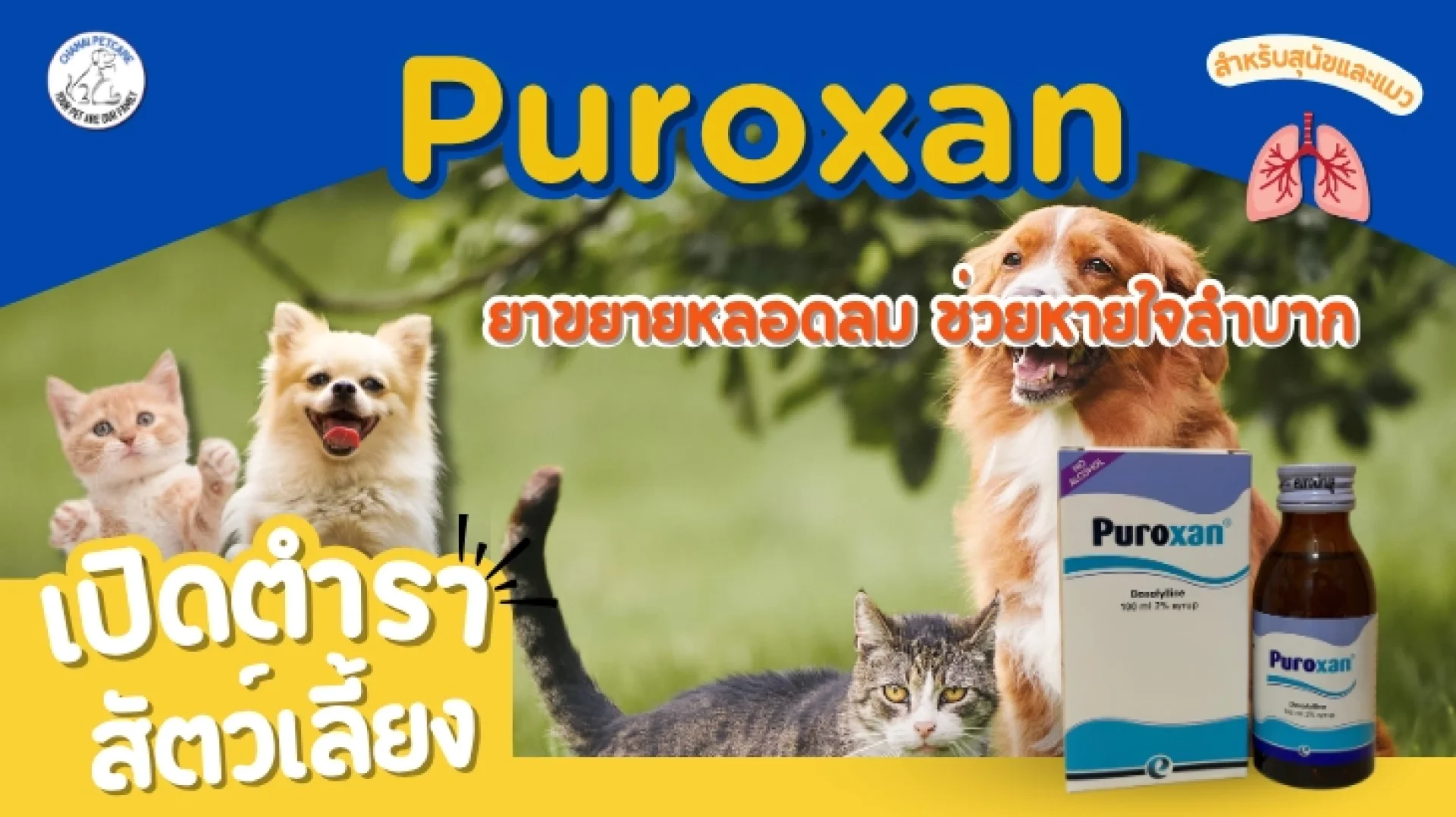 Puroxan Puroxan