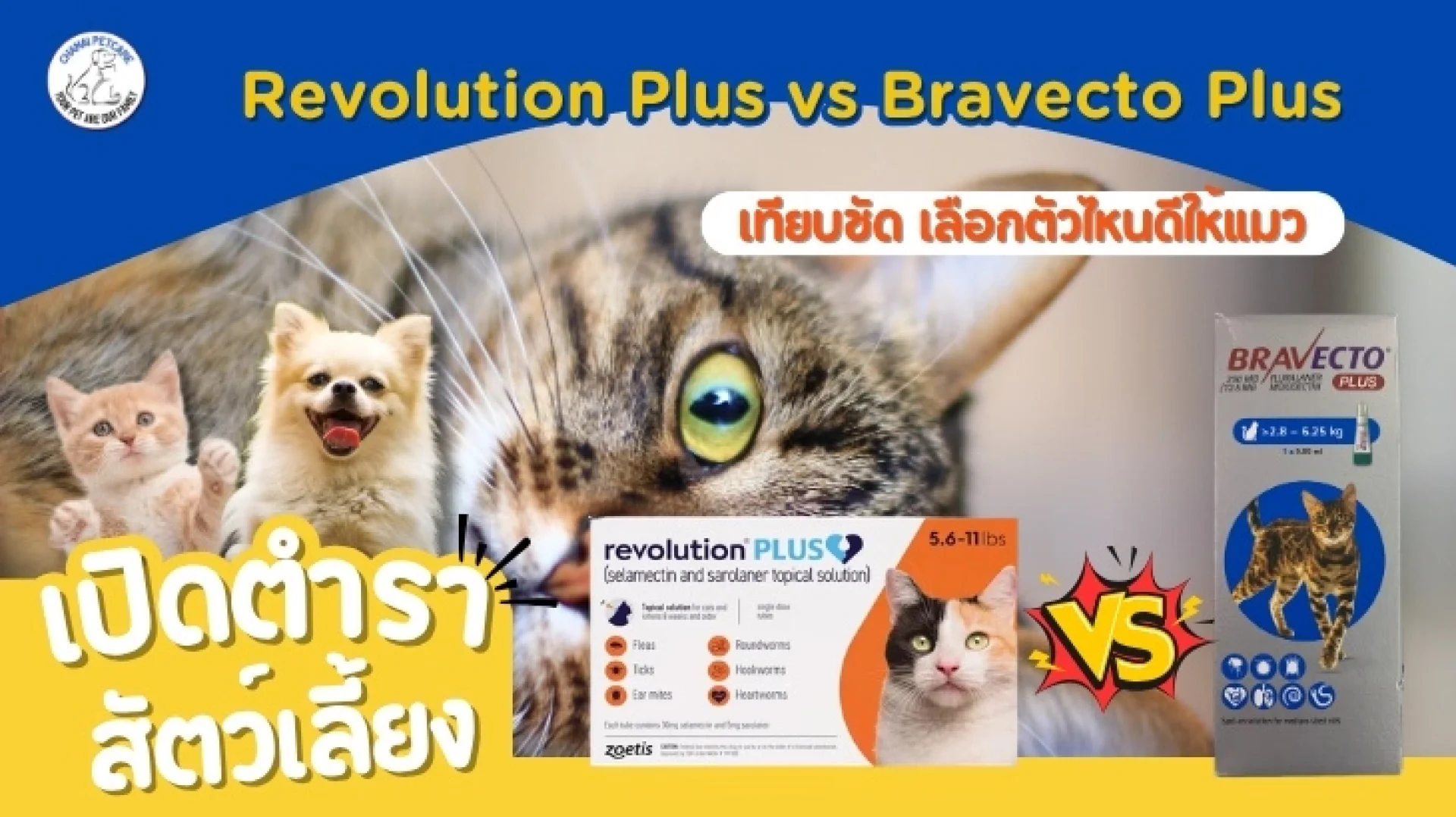 Revolution Plus vs Bravecto Plus Revolution Plus vs Bravecto Plus