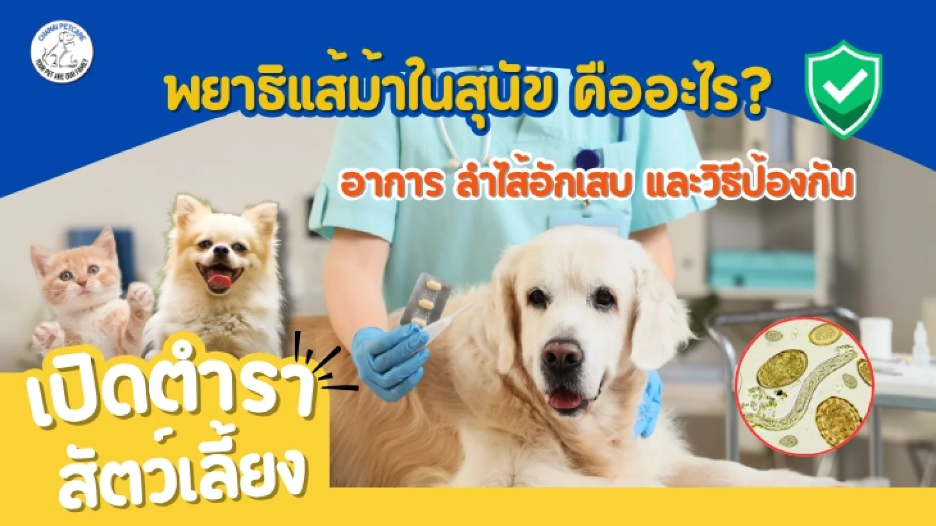พยาธิแส้ม้าในสุนัข พยาธิแส้ม้าในสุนัข