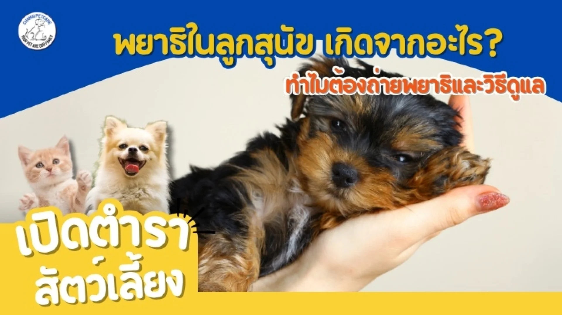 พยาธิในลูกสุนัข พยาธิในลูกสุนัข