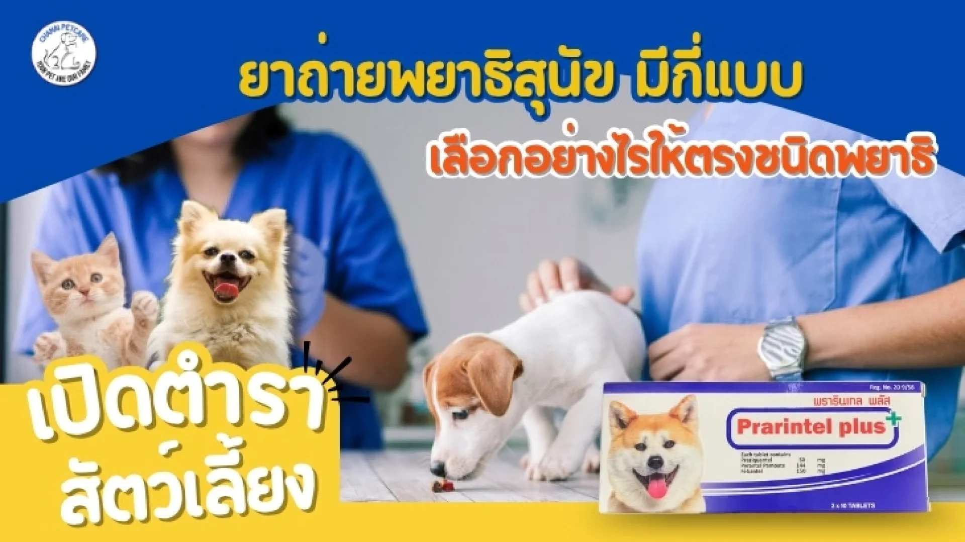 ยาถ่ายพยาธิสุนัข ยาถ่ายพยาธิสุนัข