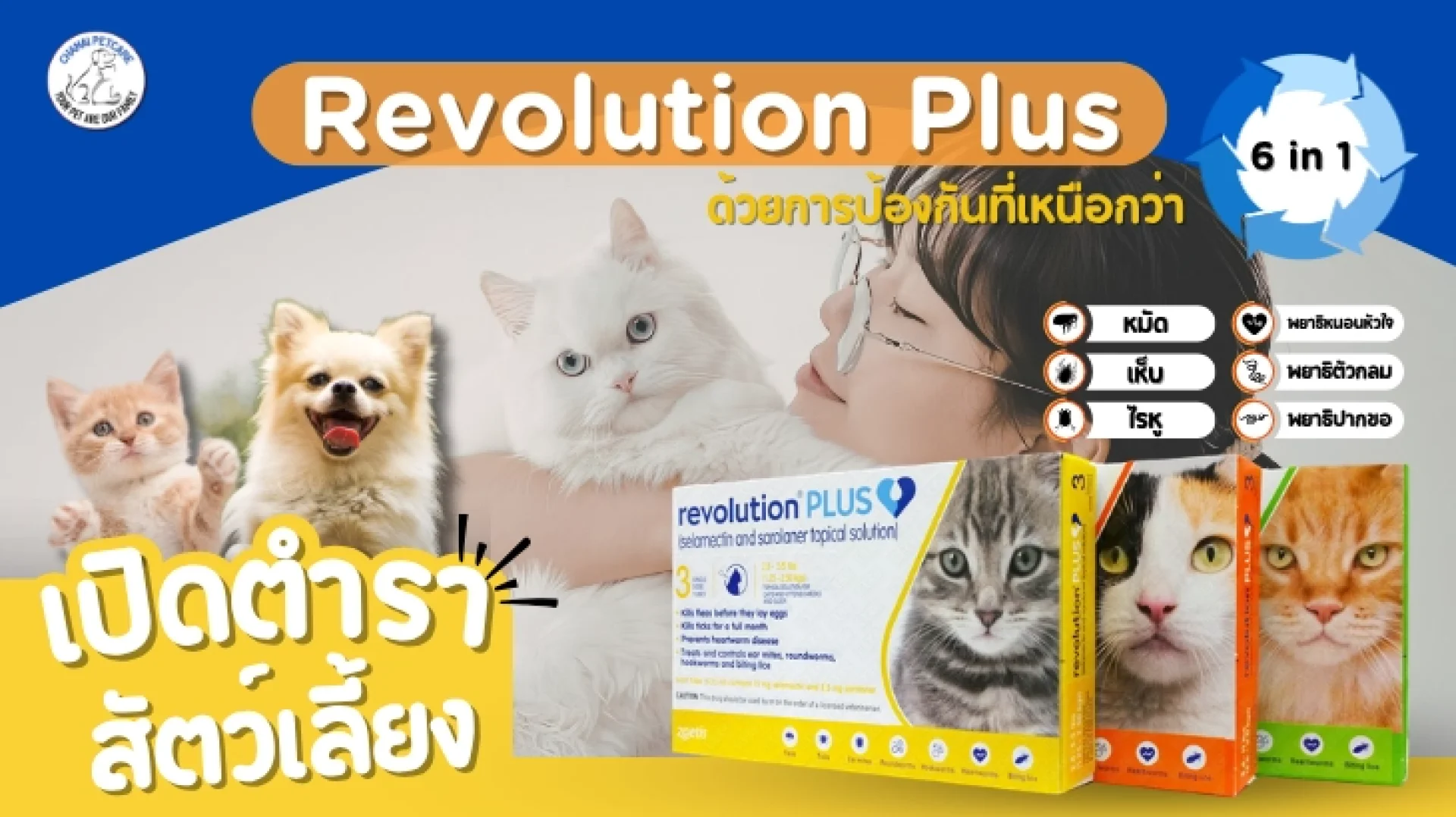 Revolution Plus Revolution Plus