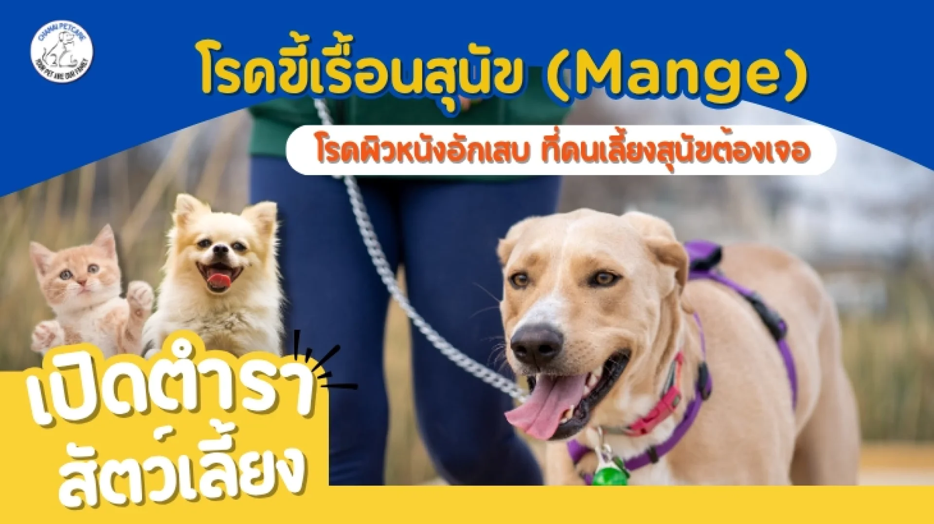โรคขี้เรื้อนสุนัข โรคขี้เรื้อนสุนัข
