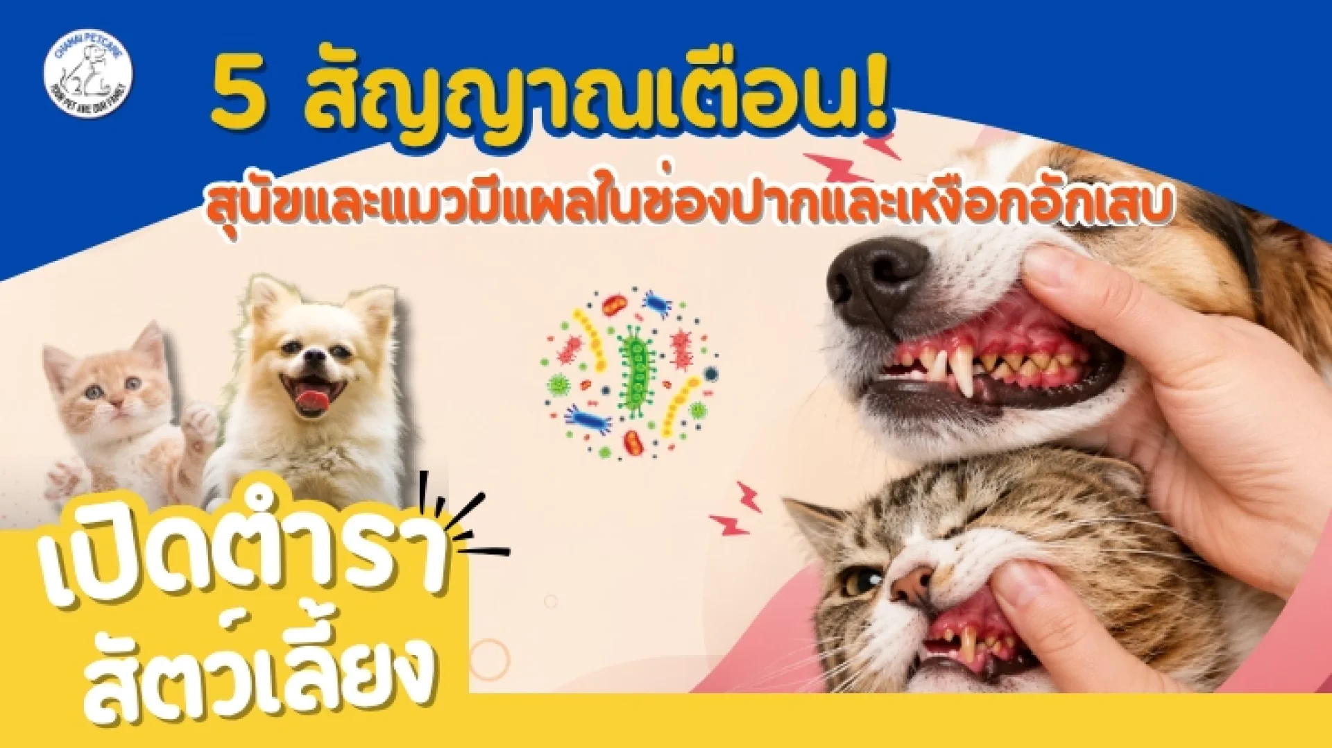 5 สัญญาณเตือน สุนัขและแมวมีแผลในช่องปากและเหงือกอักเสบ 5 สัญญาณเตือน สุนัขและแมวมีแผลในช่องปากและเหงือกอักเสบ