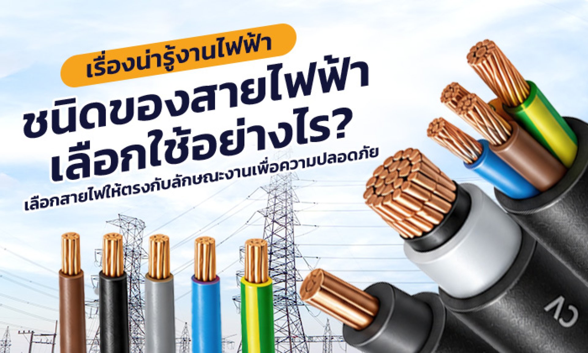 ชนิดของสายไฟฟ้า ชนิดของสายไฟฟ้า