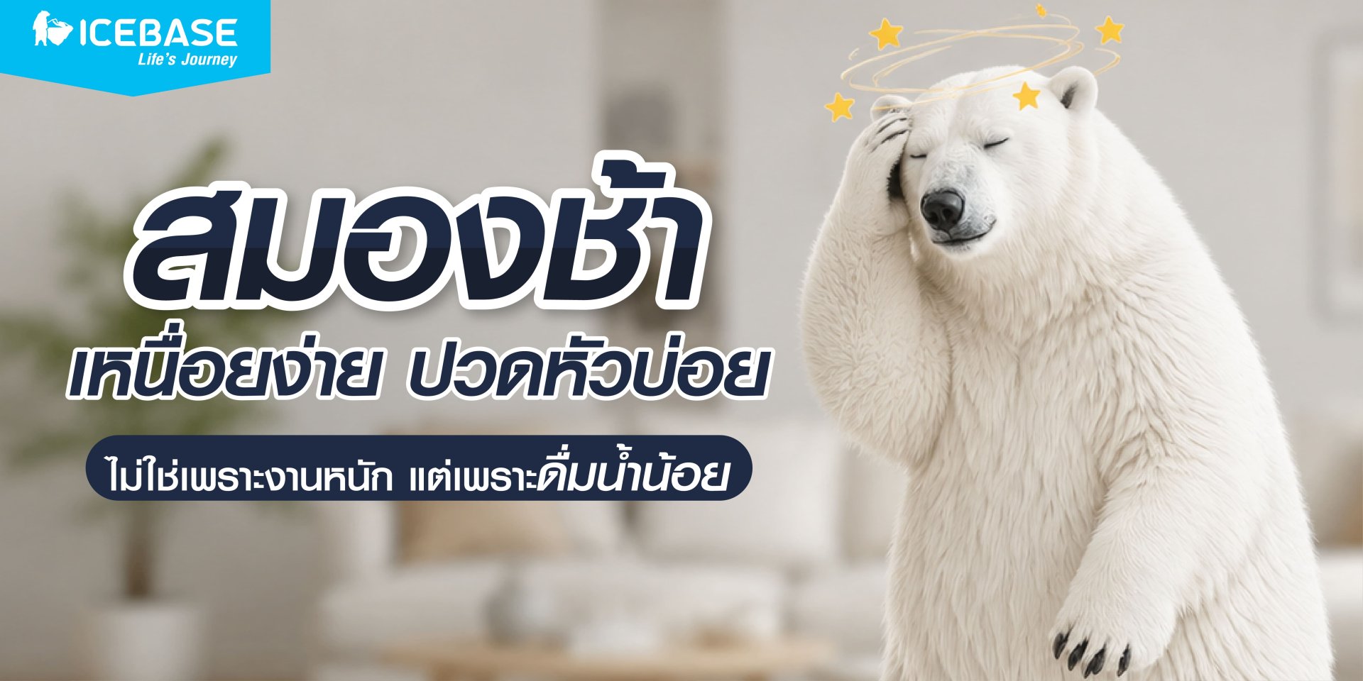 สมองช้า เหนื่อยง่าย ปวดหัวบ่อย สมองช้า เหนื่อยง่าย ปวดหัวบ่อย