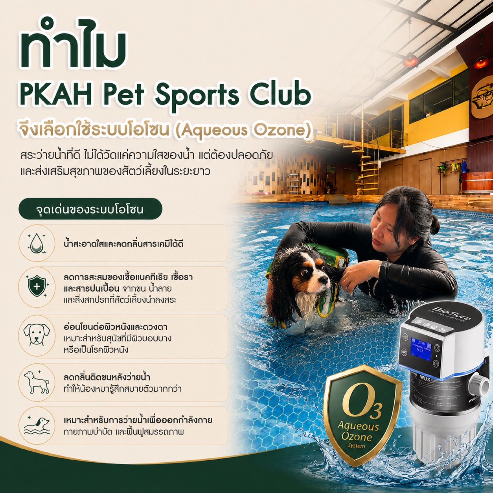 สระว่ายน้ำสัตว์เลี้ยง, สระว่ายน้ำสุนัข, สระว่ายน้ำแมว, ว่ายน้ำสุนัข, ว่ายน้ำเพื่อสุขภาพสุนัข, Hydrotherapy สุนัข, ธาราบำบัดสุนัข, กายภาพบำบัดสุนัขในน้ำ, ฟื้นฟูสุนัขหลังผ่าตัด, ออกกำลังกายสุนัขในน้ำ, สระว่ายน้ำสัตว์เลี้ยง ปทุมธานี, สระว่ายน้ำสุนัข รังสิต, สระว่ายน้ำสัตว์เลี้ยง, สระว่ายน้ำสุนัข, สระว่ายน้ำแมว, ว่ายน้ำสุนัข, ว่ายน้ำเพื่อสุขภาพสุนัข, Hydrotherapy สุนัข, ธาราบำบัดสุนัข, กายภาพบำบัดสุนัขในน้ำ, ฟื้นฟูสุนัขหลังผ่าตัด, ออกกำลังกายสุนัขในน้ำ, สระว่ายน้ำสัตว์เลี้ยง ปทุมธานี, สระว่ายน้ำสุนัข รังสิต,
